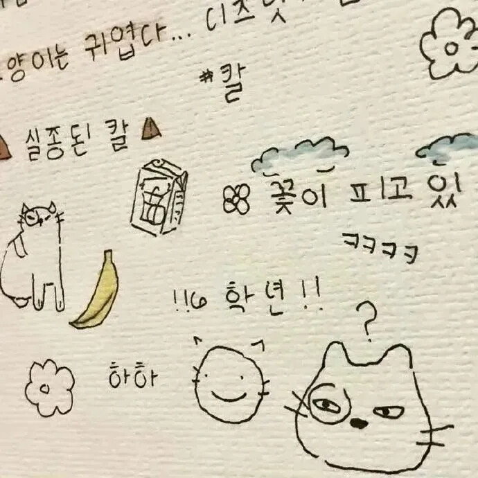 背景图☃
花不是为花店而开，人有各自的月亮