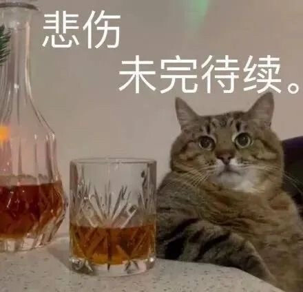 猫猫狗狗表情包