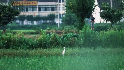 场景橙光素材·baekbuuh