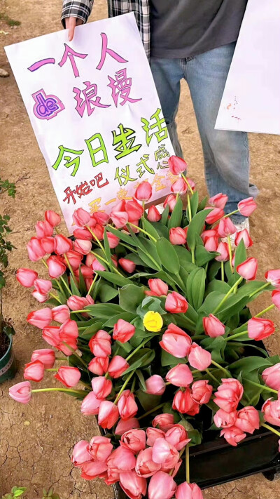 十个勤天
