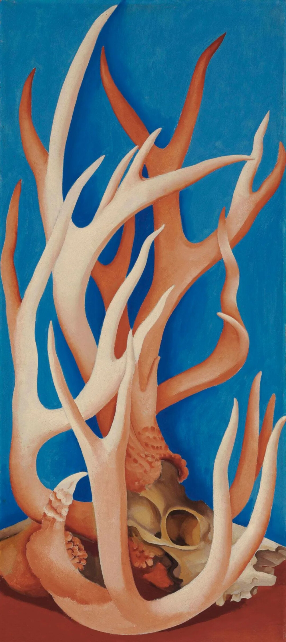 Georgia O'Keeffe, Deer Horns, oil on canvas, 36 x 16 in. (91.4 x 40.6 cm.) ,1938.