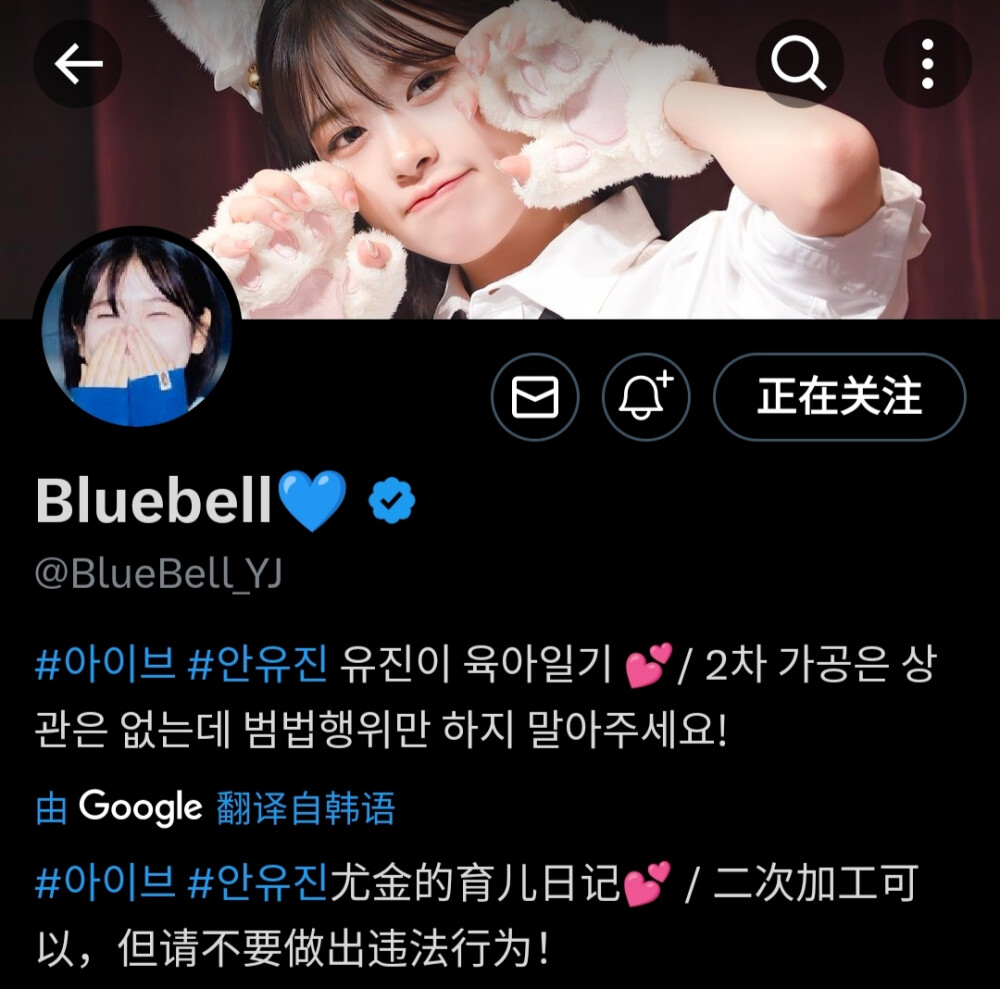 BlueBell_YJ