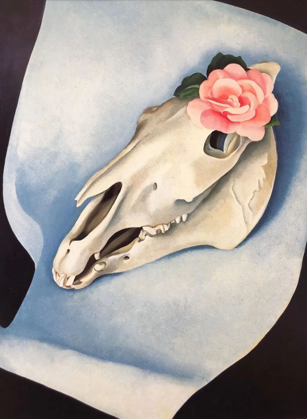 Georgia O'Keeffe,Horse’s Skull With Pink Rose.