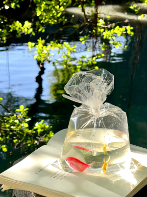 光影瞬间 浪漫时刻