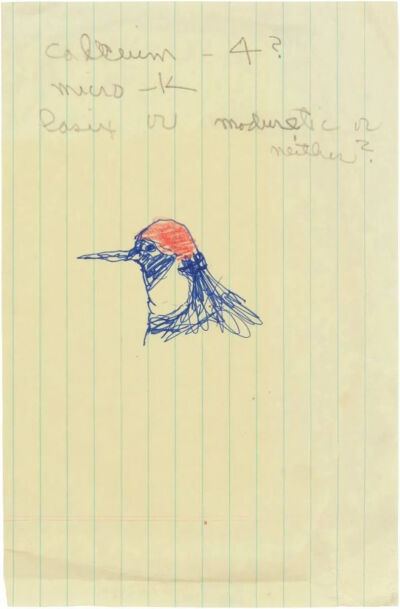 Untitled,1988–92,
Ink and colored pencil on folded lined paper,20.6x14cm
