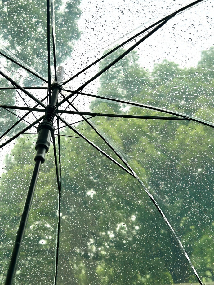 你也想念吗 那个下雨天