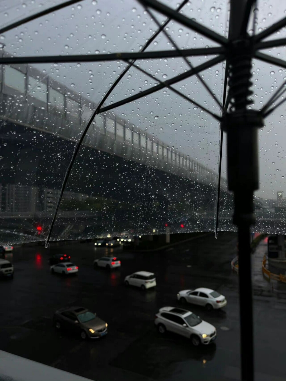 你能体谅我的雨天