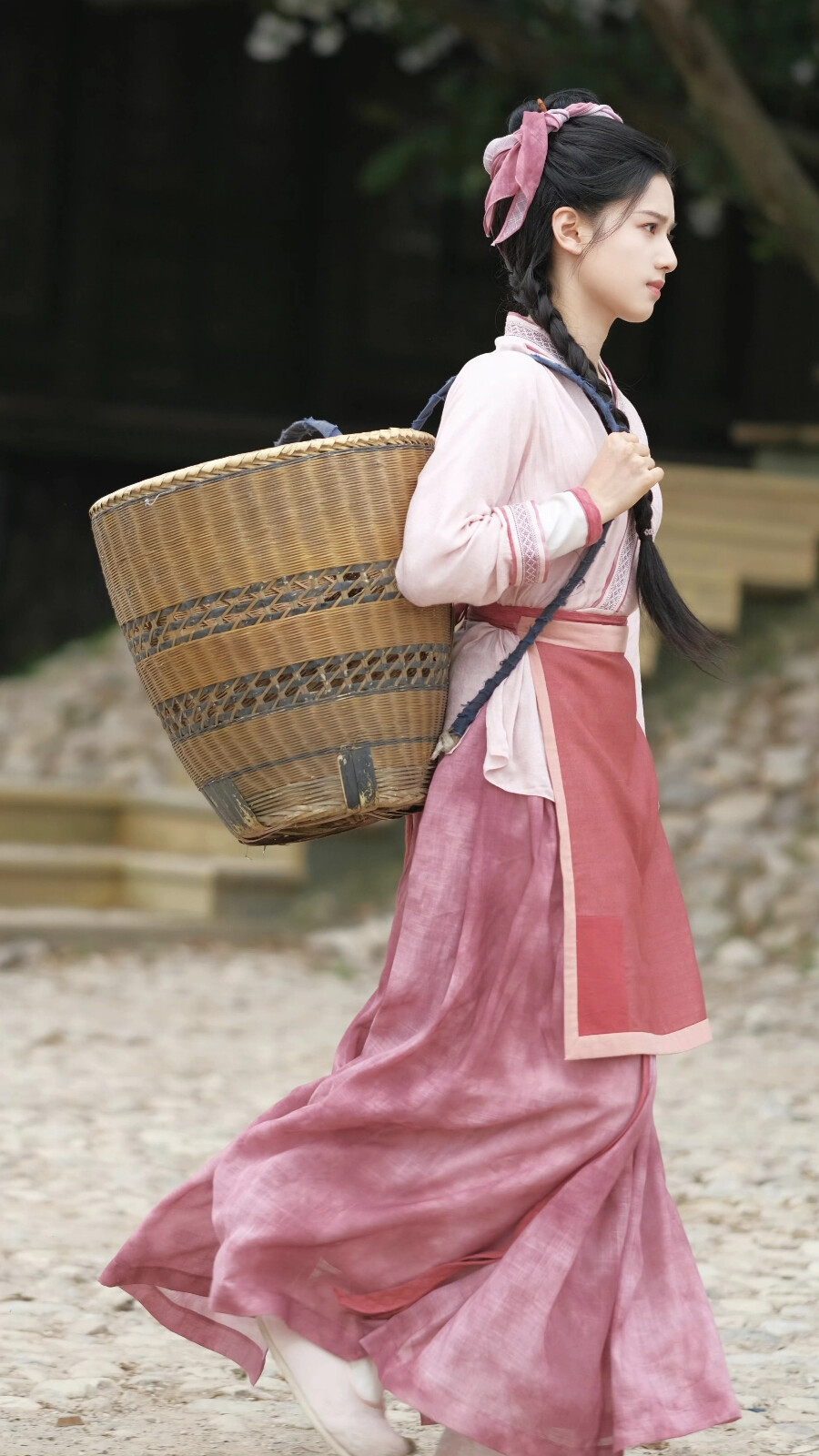 惜花芷 花芷 张婧仪