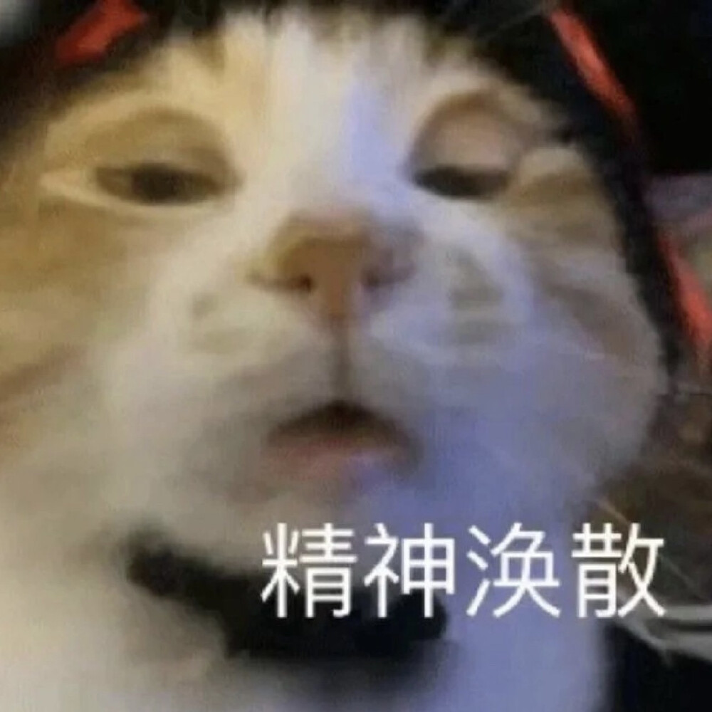 表情