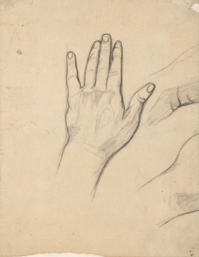 Hand study（手的研究）