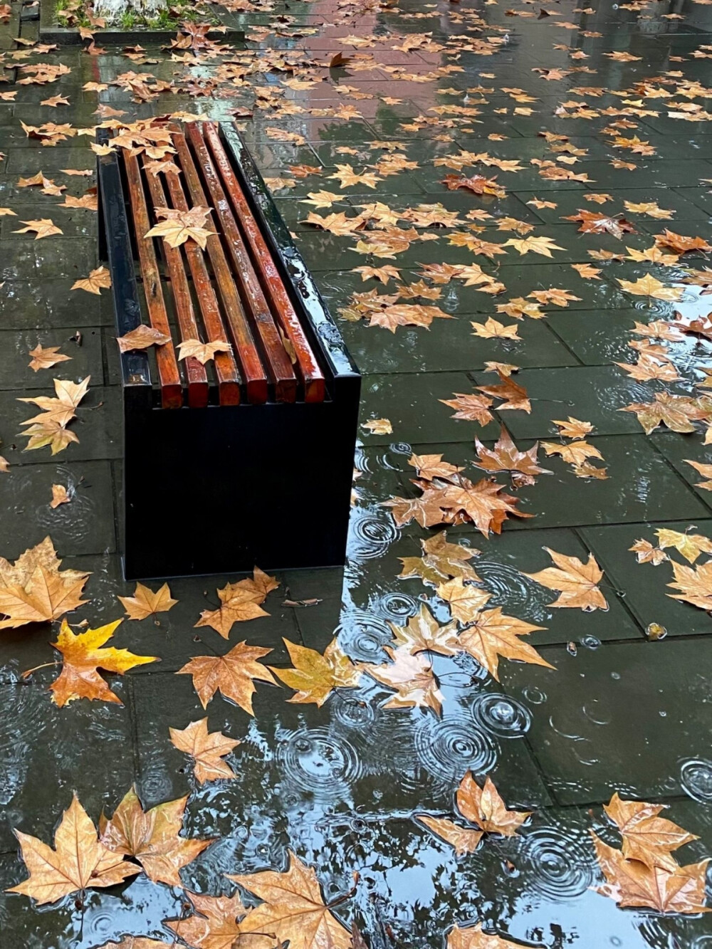 你也想念吗 那个下雨天