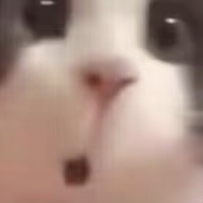 表情