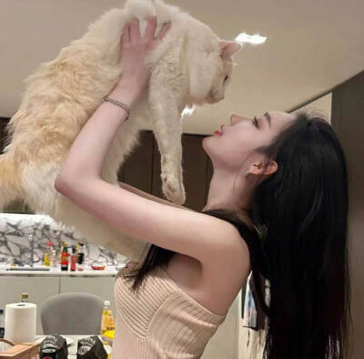 爱猫的女头