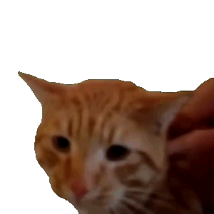 沙雕猫猫动态表情包