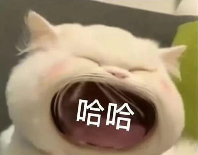 可爱小猫