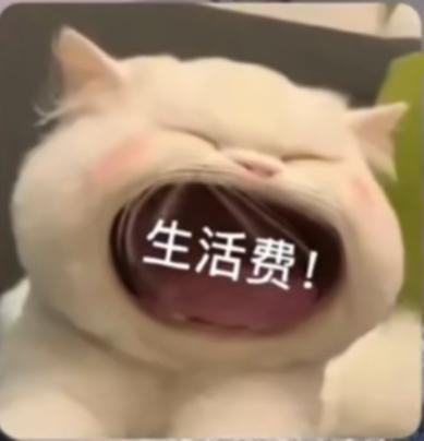 可爱小猫