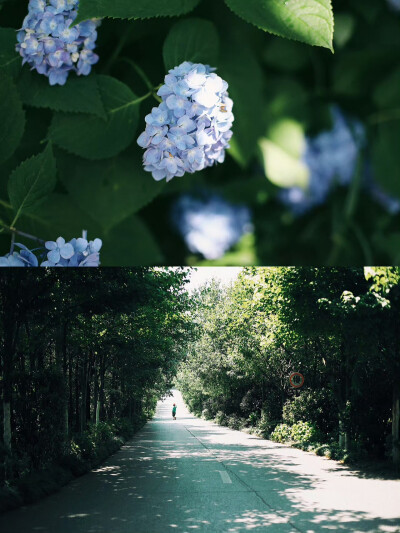 湿 润 空 气
摄影@芊鄩