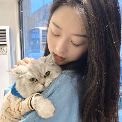 爱猫的女头