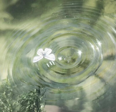 青春终将散场 唯独记忆永不腐朽/背景图