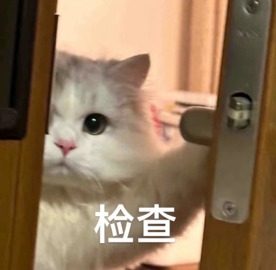 小猫小狗表情包