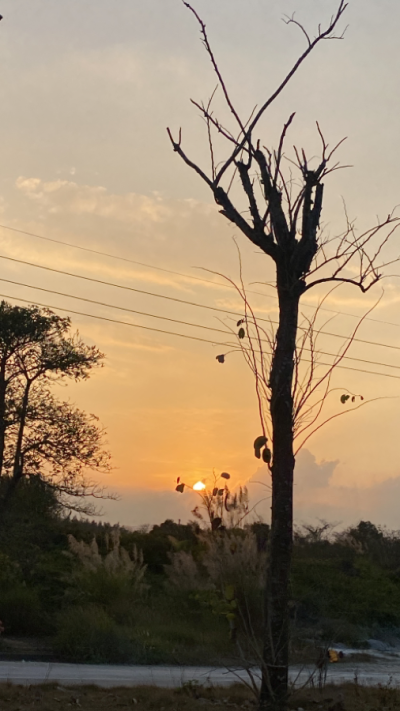 夕阳，日出