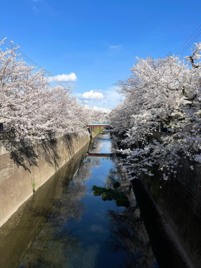 只有日本