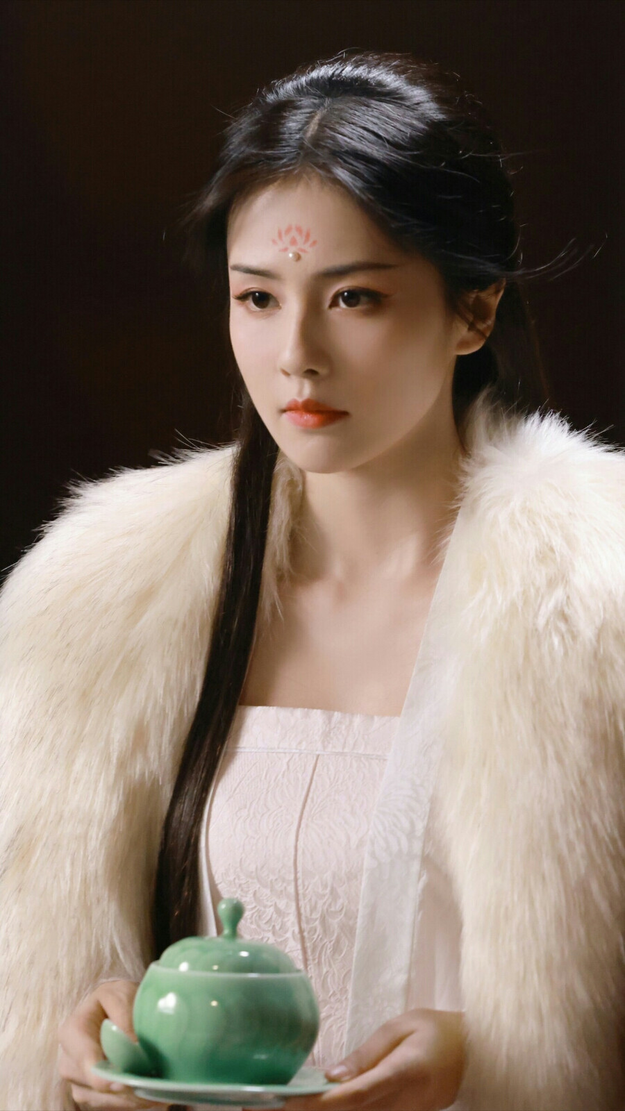 宁安如梦 姜雪宁 白鹿