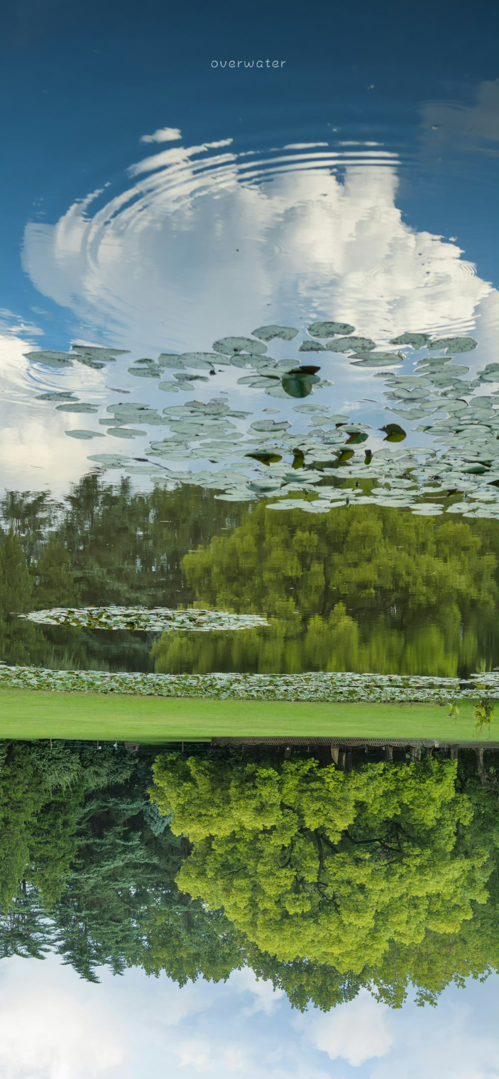 春天的颜色 来源微博@overwater