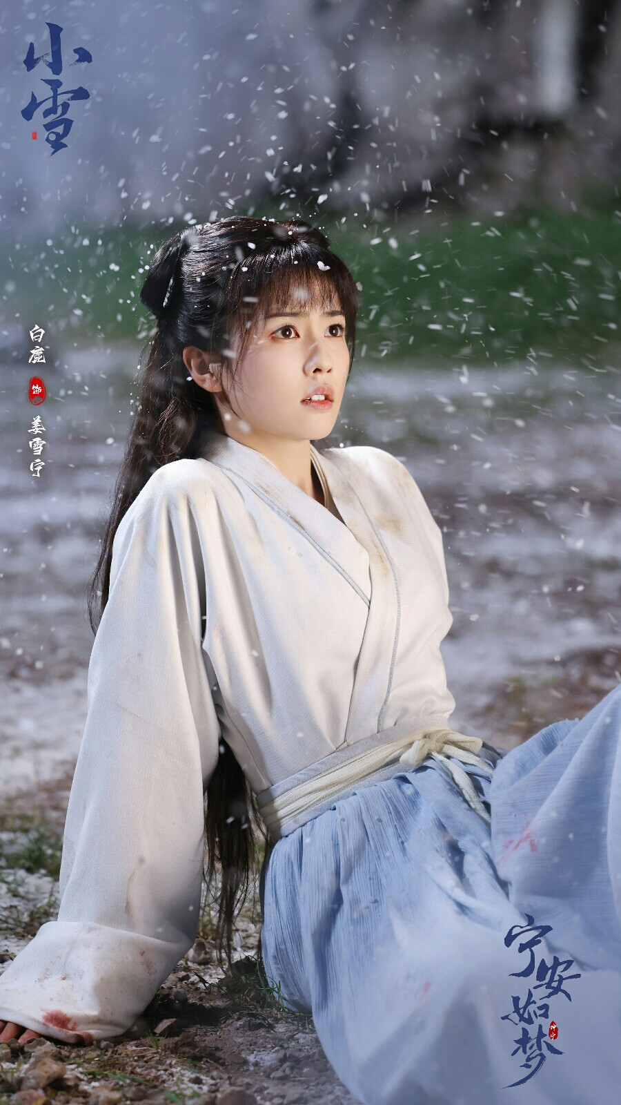 宁安如梦 姜雪宁 白鹿