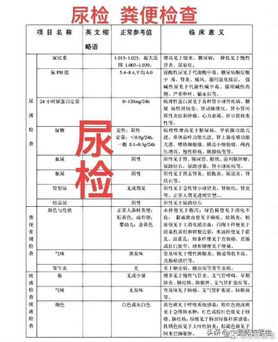 实用 体检报告 常识