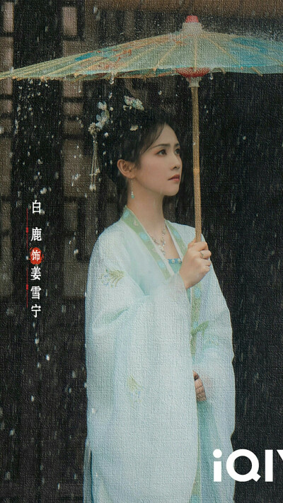 宁安如梦 姜雪宁 白鹿