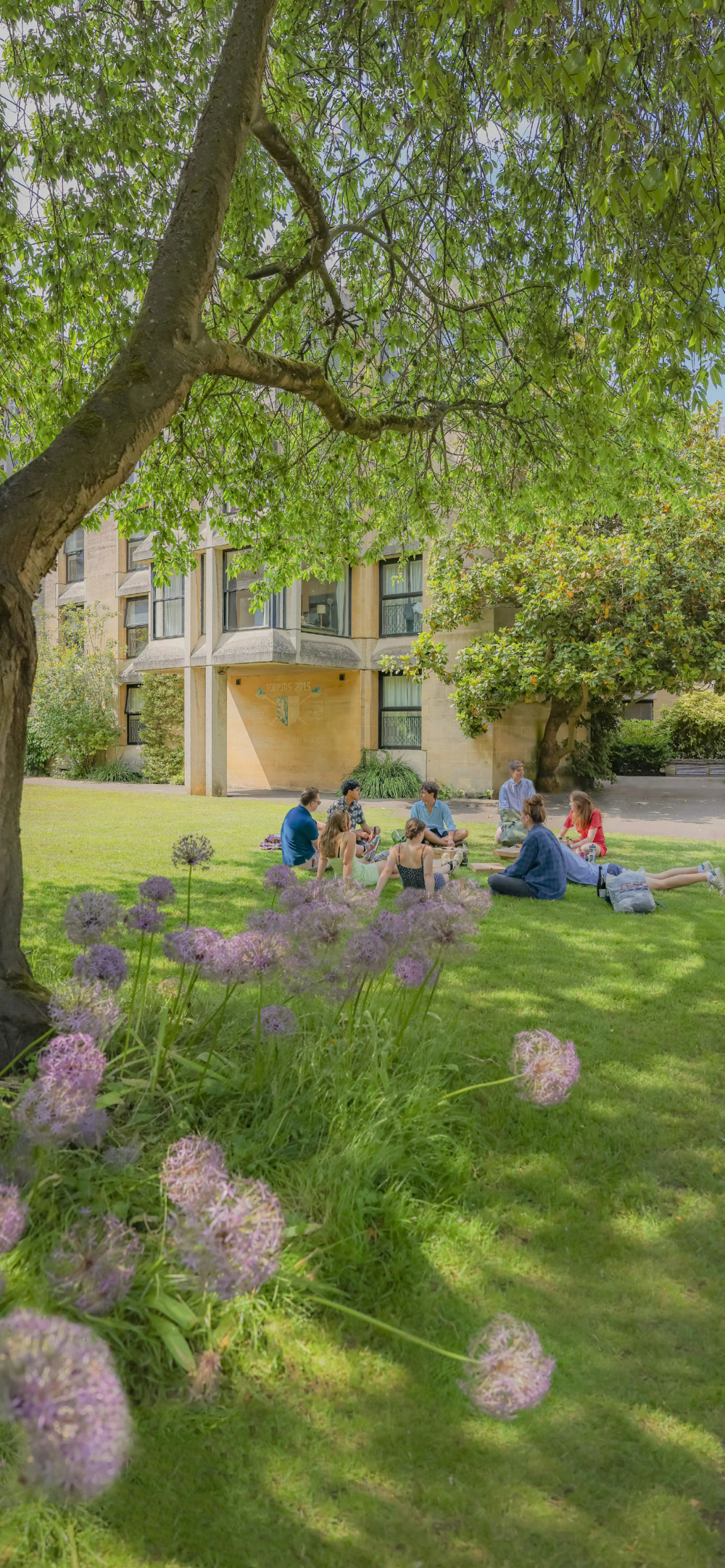 春天的颜色 来源微博@overwater