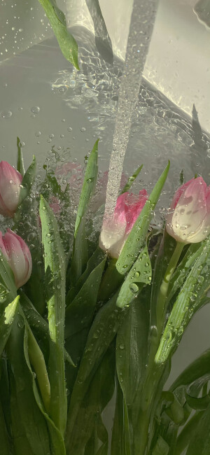 小清新实拍壁纸(ﾉ)`ω´(ヾ) ​​​ 