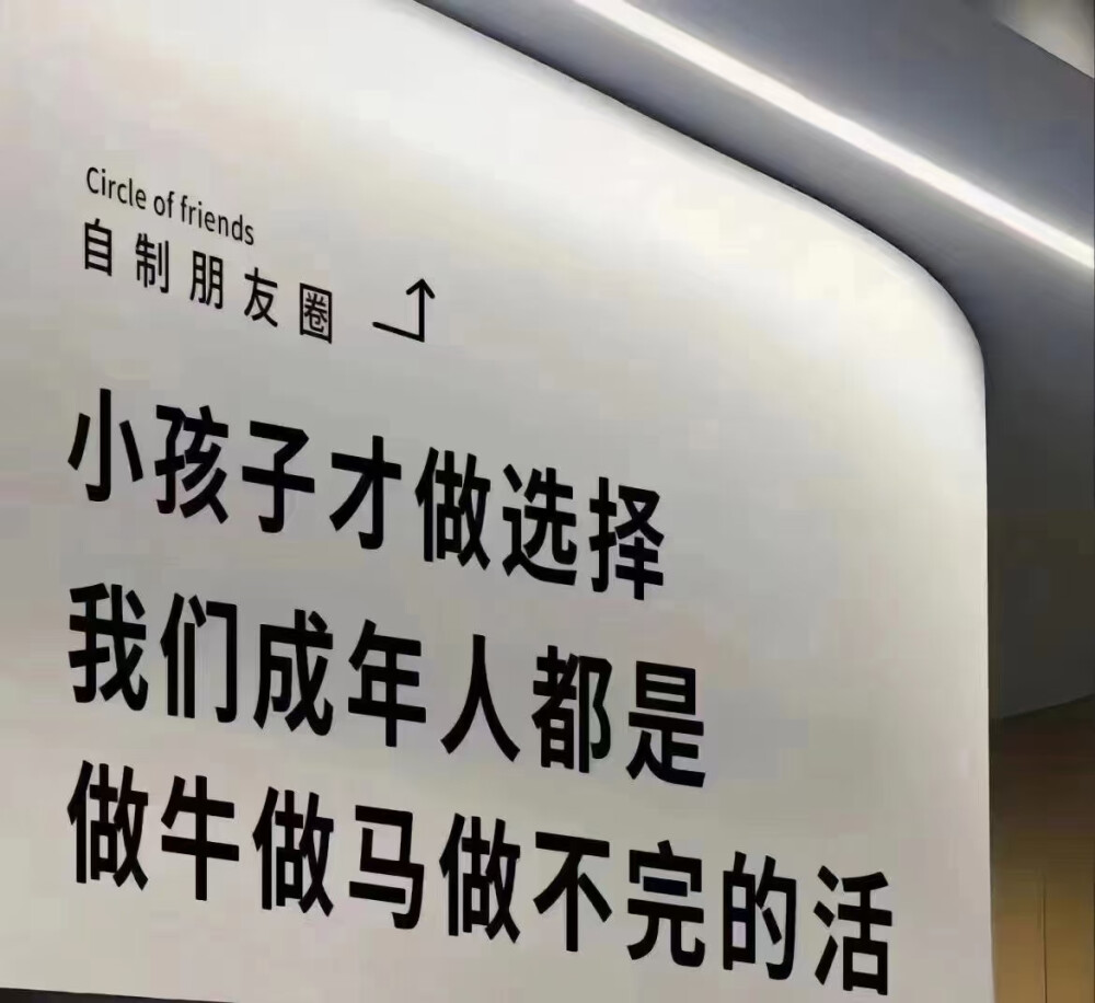 小孩子才做选择
我们成年人都是
做牛做马做不完的活