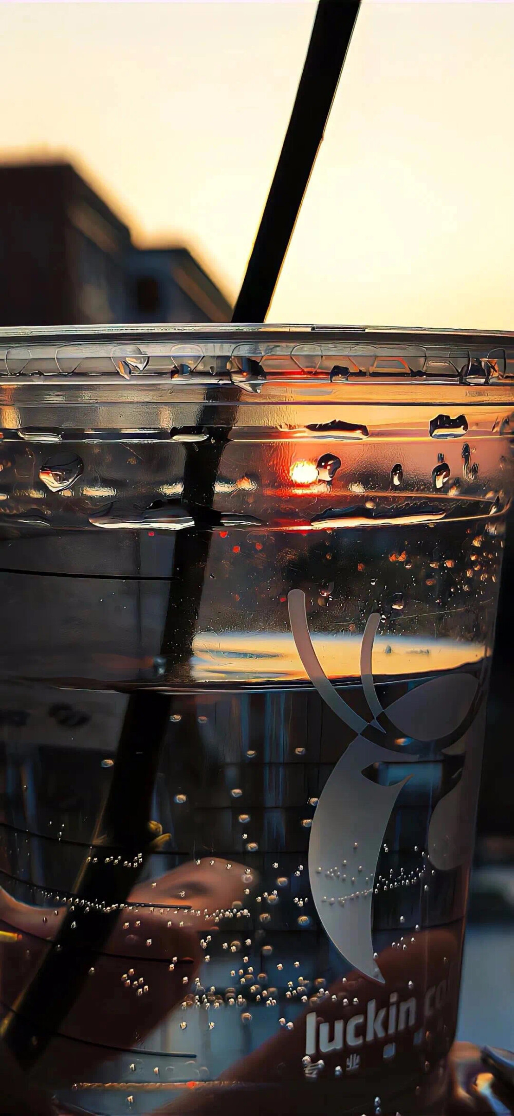 风景壁纸