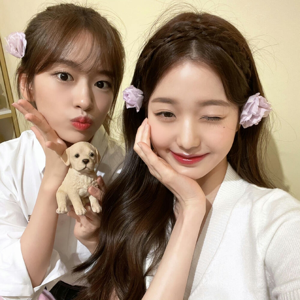 安宥真 × 张元英