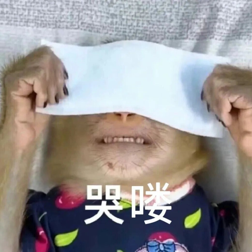 吗喽表情包