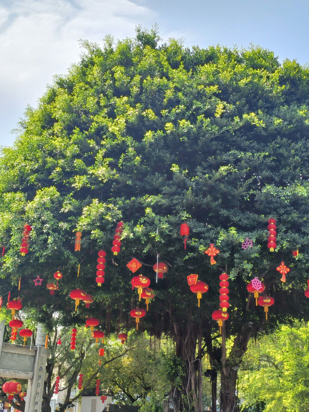 风景