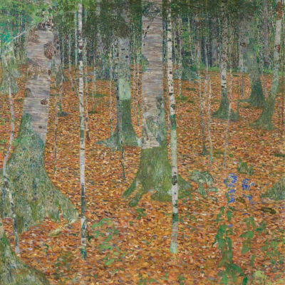 克里姆特作品《白桦林》，1903年