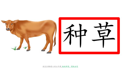 《青蛙卖泥塘》公开课板书设计