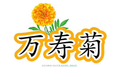 《花钟》公开课板书设计电子版