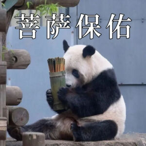 【菩萨保佑】大熊猫表情包