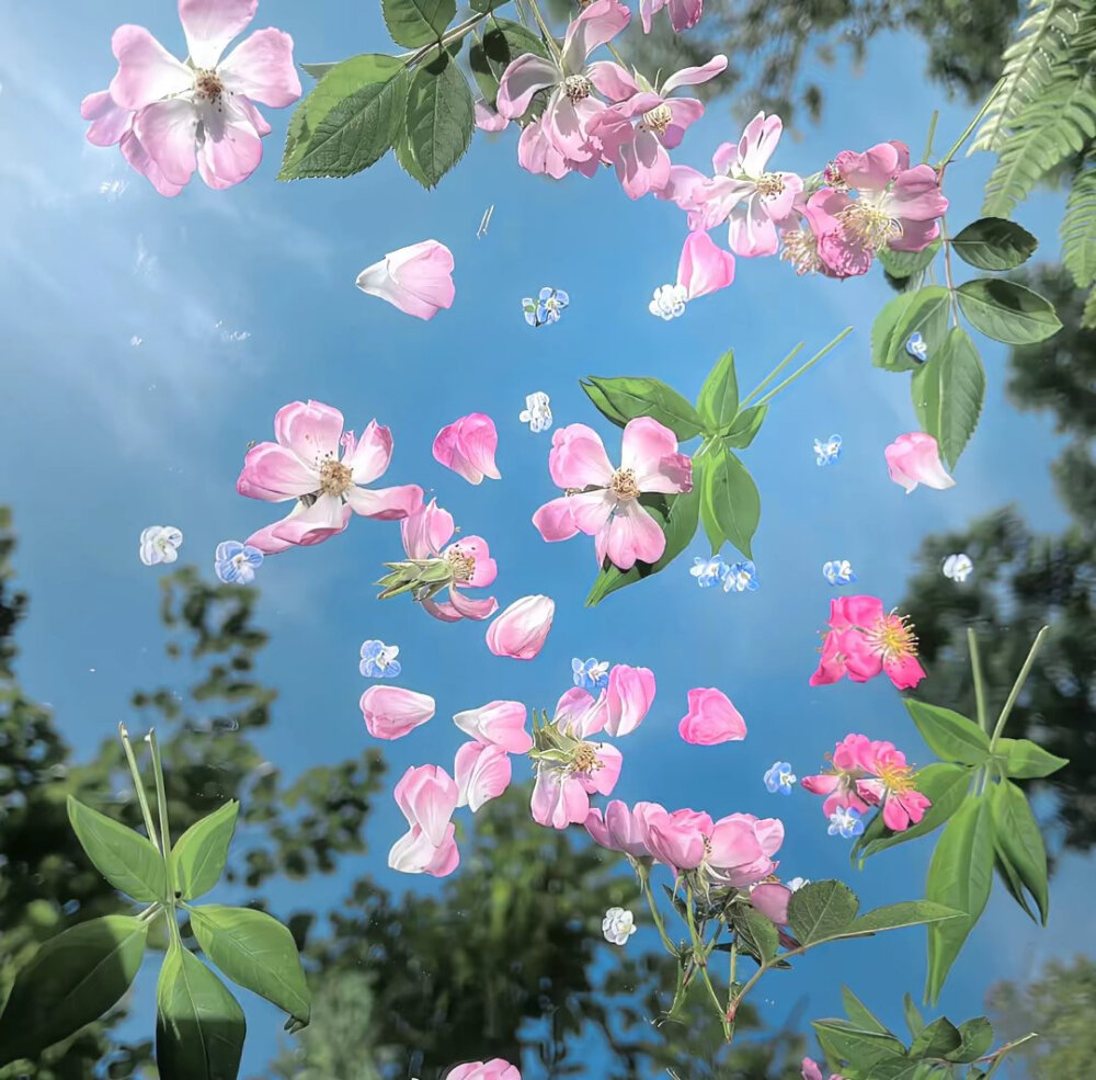 高级感背景图