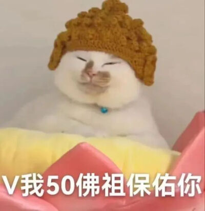 【V我50佛祖保佑你】小猫咪表情包