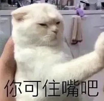 猫猫表情包