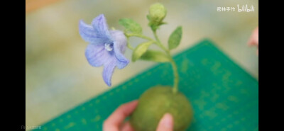 钩织花朵