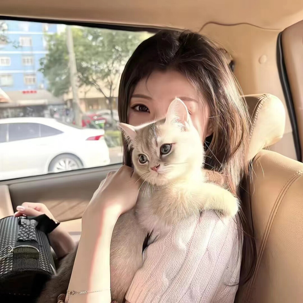 抱猫女头