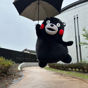 熊本熊