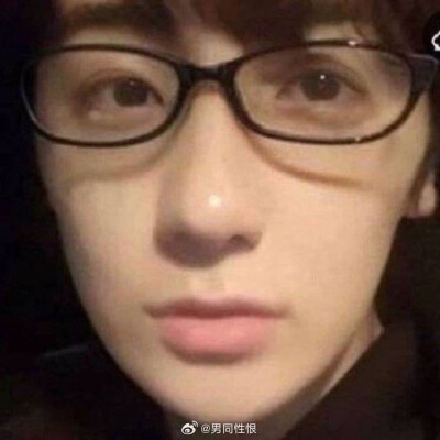 笨笨的