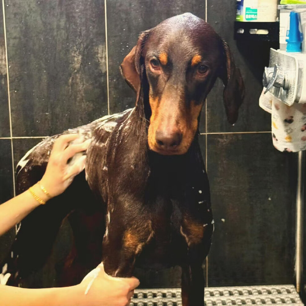 240414
Bam's dad 田柾国ins更新bam相关